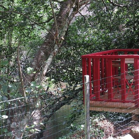 فيلا Casa Da Azenha Baião المظهر الخارجي الصورة