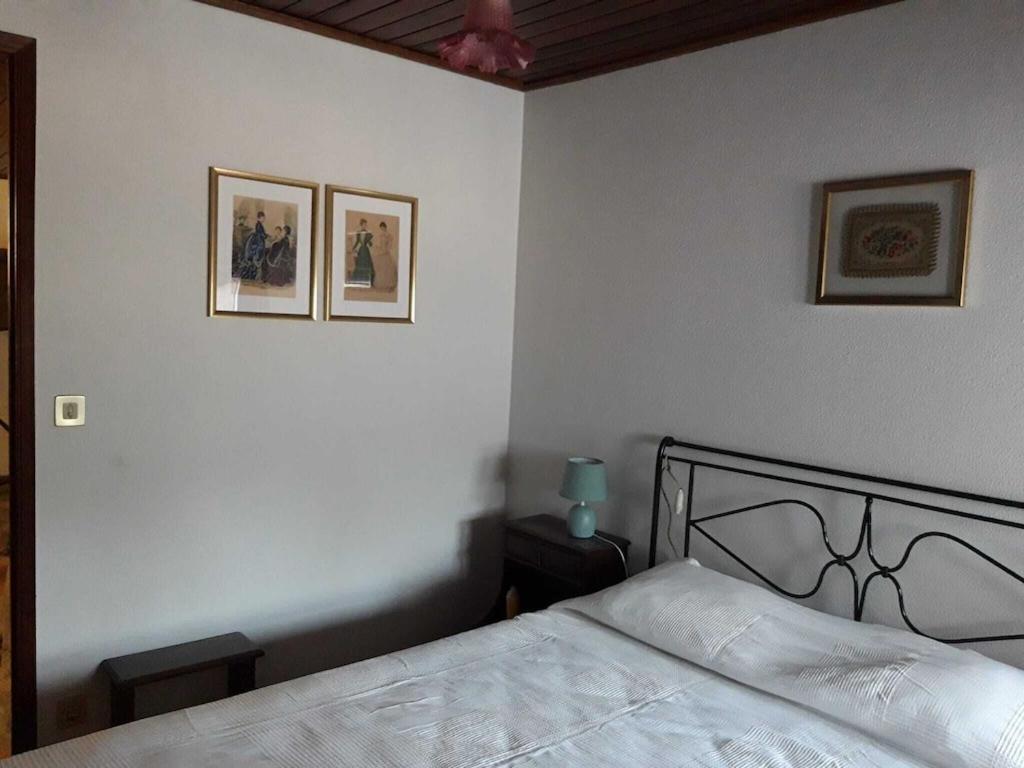 فيلا Casa Da Azenha Baião المظهر الخارجي الصورة